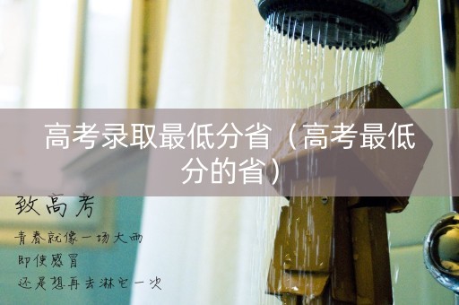 高考录取最低分省（高考最低分的省）