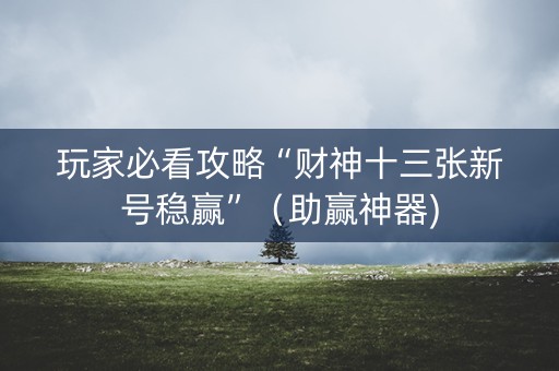 玩家必看攻略“财神十三张新号稳赢”（助赢神器)