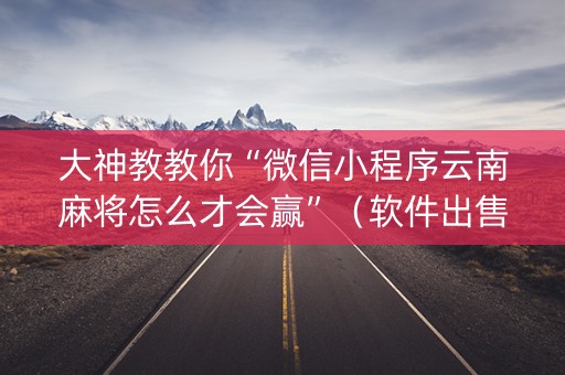 大神教教你“微信小程序云南麻将怎么才会赢”（软件出售)