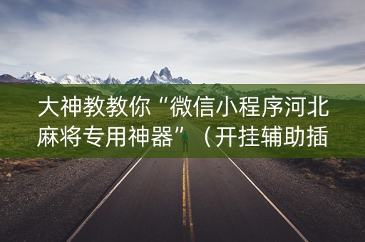 大神教教你“微信小程序河北麻将专用神器”（开挂辅助插件)