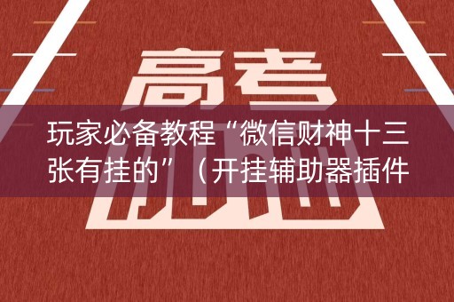 玩家必备教程“微信财神十三张有挂的”（开挂辅助器插件)