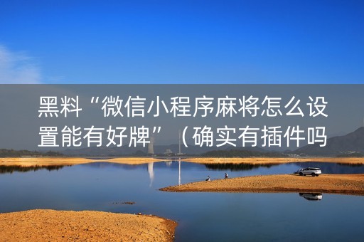 黑料“微信小程序麻将怎么设置能有好牌”（确实有插件吗)