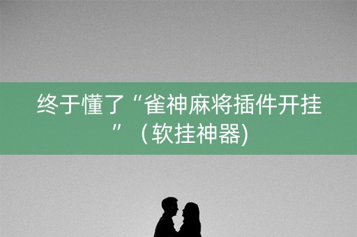 终于懂了“雀神麻将插件开挂”（软挂神器)