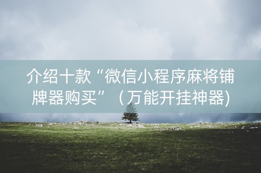 介绍十款“微信小程序麻将铺牌器购买”（万能开挂神器)