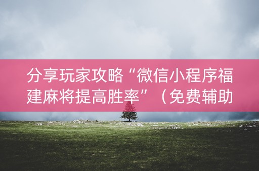 分享玩家攻略“微信小程序福建麻将提高胜率”（免费辅助)