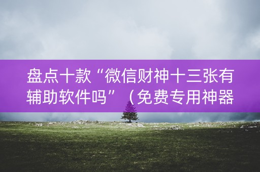 盘点十款“微信财神十三张有辅助软件吗”（免费专用神器)