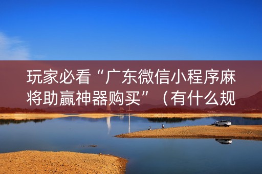 玩家必看“广东微信小程序麻将助赢神器购买”（有什么规律)