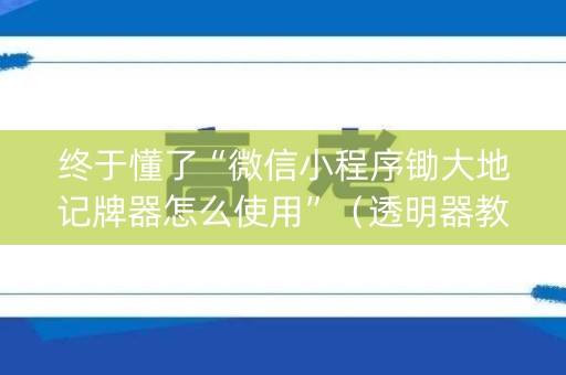 终于懂了“微信小程序锄大地记牌器怎么使用”（透明器教程)