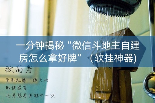 一分钟揭秘“微信斗地主自建房怎么拿好牌”（软挂神器)