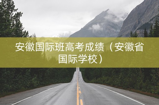 安徽国际班高考成绩（安徽省国际学校）