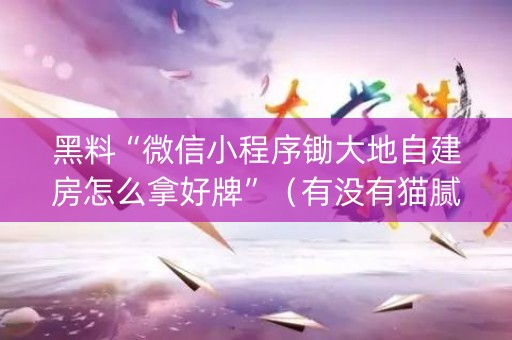 黑料“微信小程序锄大地自建房怎么拿好牌”（有没有猫腻)