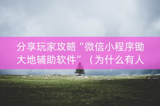 分享玩家攻略“微信小程序锄大地辅助软件”（为什么有人一直赢)