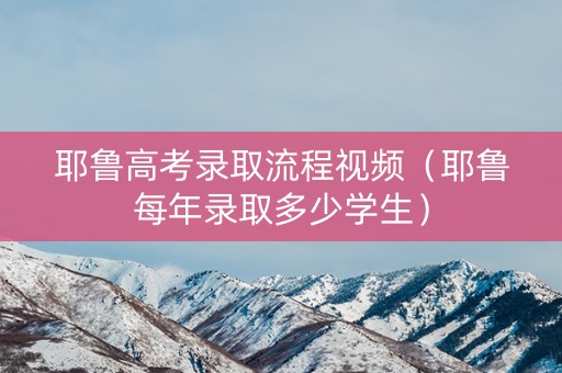 耶鲁高考录取流程视频（耶鲁每年录取多少学生）