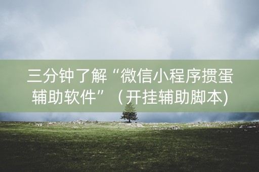 三分钟了解“微信小程序掼蛋辅助软件”（开挂辅助脚本)