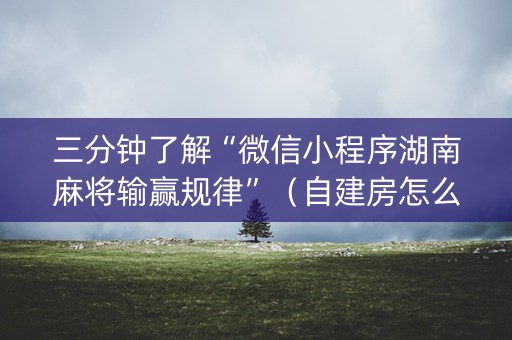 三分钟了解“微信小程序湖南麻将输赢规律”（自建房怎么赢)