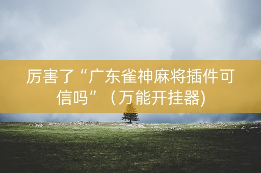 厉害了“广东雀神麻将插件可信吗”（万能开挂器)