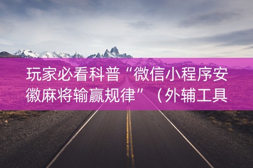 玩家必看科普“微信小程序安徽麻将输赢规律”（外辅工具)