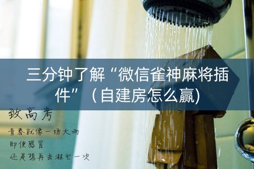 三分钟了解“微信雀神麻将插件”（自建房怎么赢)