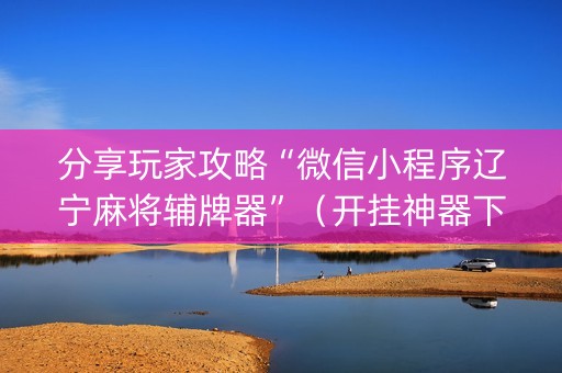 分享玩家攻略“微信小程序辽宁麻将辅牌器”（开挂神器下载)