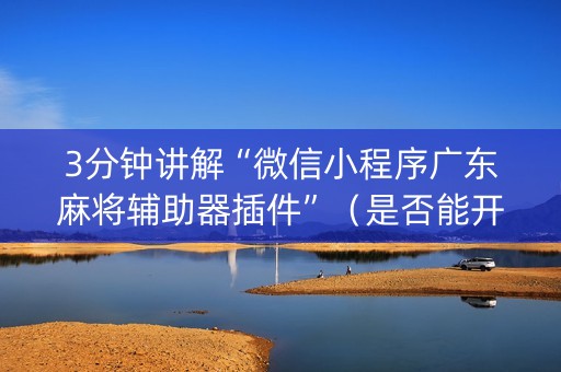 3分钟讲解“微信小程序广东麻将辅助器插件”（是否能开挂)
