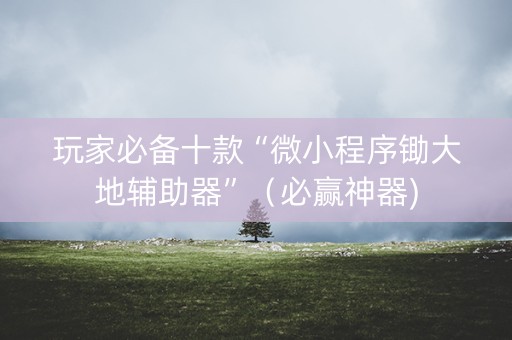 玩家必备十款“微小程序锄大地辅助器”（必赢神器)
