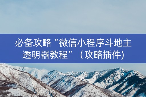 必备攻略“微信小程序斗地主透明器教程”（攻略插件)