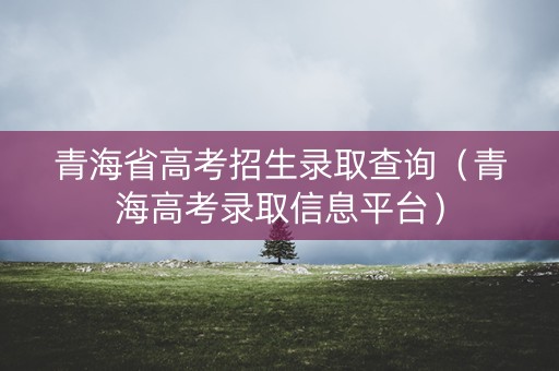 青海省高考招生录取查询（青海高考录取信息平台）