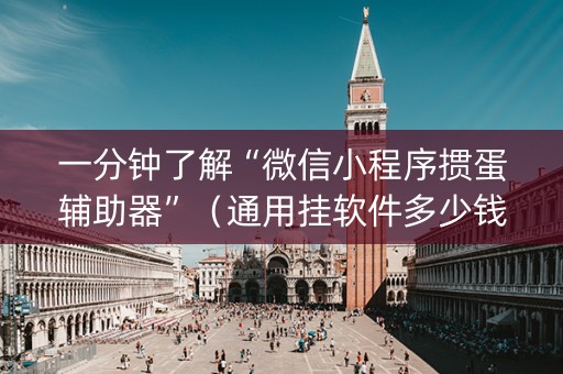 一分钟了解“微信小程序掼蛋辅助器”（通用挂软件多少钱)