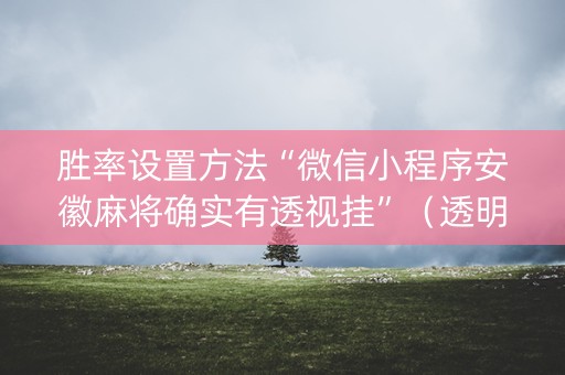 胜率设置方法“微信小程序安徽麻将确实有透视挂”（透明器教程)