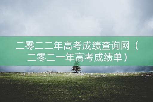 二零二二年高考成绩查询网（二零二一年高考成绩单）