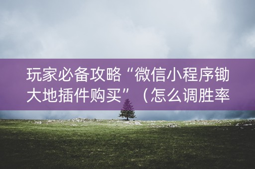 玩家必备攻略“微信小程序锄大地插件购买”（怎么调胜率)
