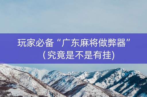 玩家必备“广东麻将做弊器”（究竟是不是有挂)