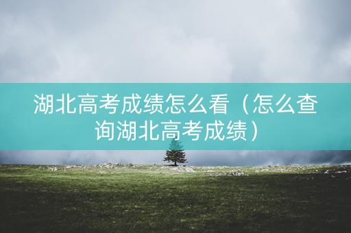 湖北高考成绩怎么看（怎么查询湖北高考成绩）