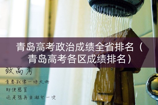 青岛高考政治成绩全省排名（青岛高考各区成绩排名）