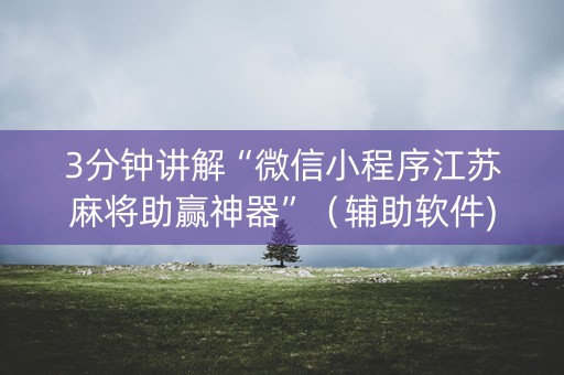 3分钟讲解“微信小程序江苏麻将助赢神器”（辅助软件)