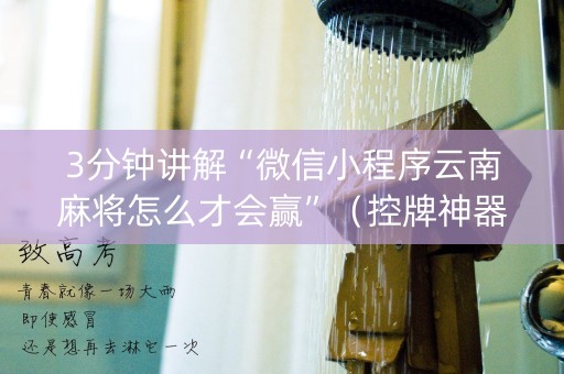 3分钟讲解“微信小程序云南麻将怎么才会赢”（控牌神器)