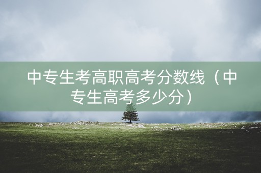 中专生考高职高考分数线（中专生高考多少分）
