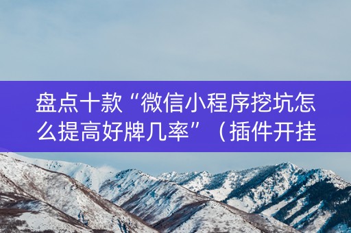 盘点十款“微信小程序挖坑怎么提高好牌几率”（插件开挂免费AI)