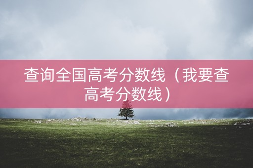 查询全国高考分数线（我要查高考分数线）