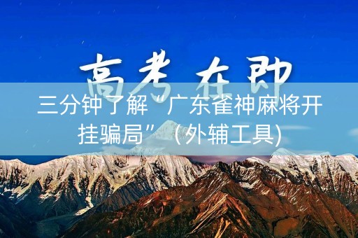三分钟了解“广东雀神麻将开挂骗局”（外辅工具)