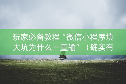 玩家必备教程“微信小程序填大坑为什么一直输”（确实有插件吗)