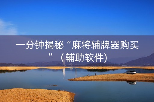 一分钟揭秘“麻将辅牌器购买”（辅助软件)