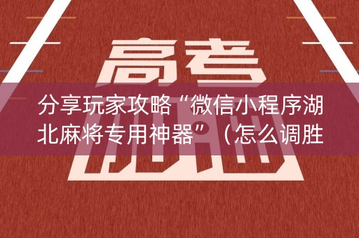 分享玩家攻略“微信小程序湖北麻将专用神器”（怎么调胜率)