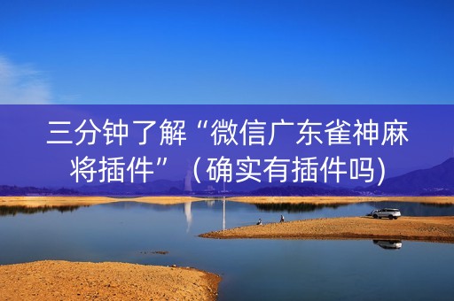 三分钟了解“微信广东雀神麻将插件”（确实有插件吗)