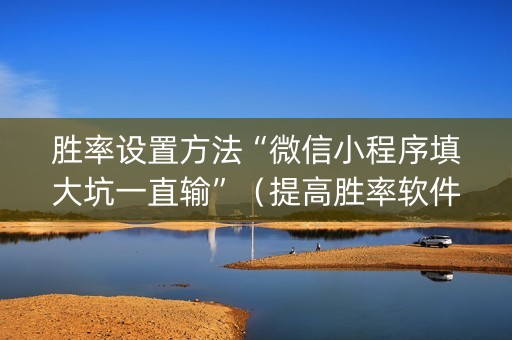 胜率设置方法“微信小程序填大坑一直输”（提高胜率软件)