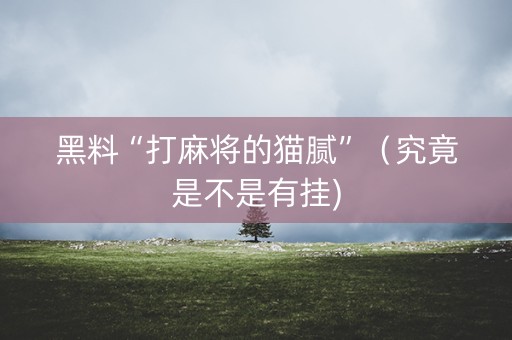 黑料“打麻将的猫腻”（究竟是不是有挂)