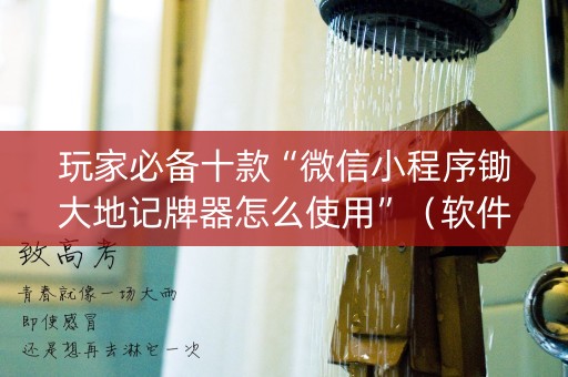 玩家必备十款“微信小程序锄大地记牌器怎么使用”（软件出售)