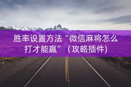 胜率设置方法“微信麻将怎么打才能赢”（攻略插件)