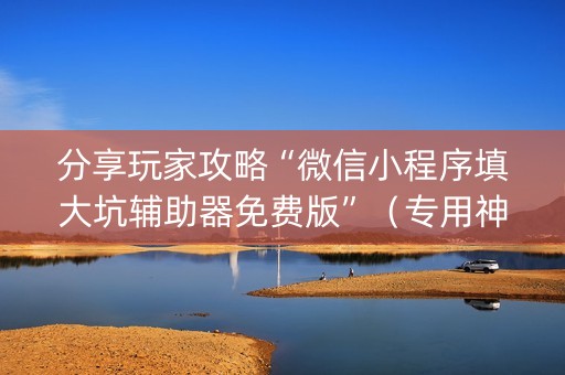 分享玩家攻略“微信小程序填大坑辅助器免费版”（专用神器)