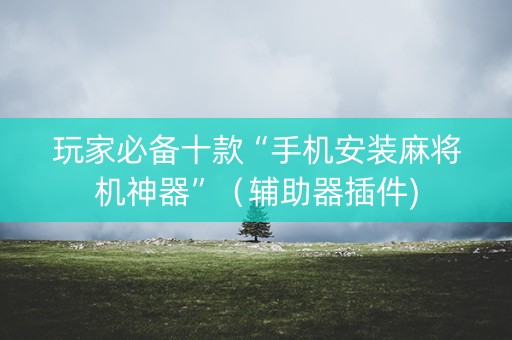 玩家必备十款“手机安装麻将机神器”（辅助器插件)